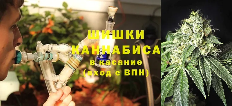 Шишки марихуана Amnesia  сколько стоит  Пролетарск 